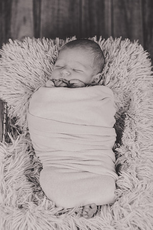Noah Newborn 042