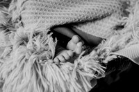 Amelia [newborn] images 006