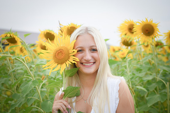 Sunflowers [kenzie] peek 137