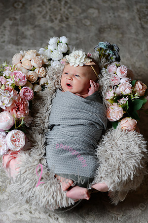 Amelia [newborn] images 039