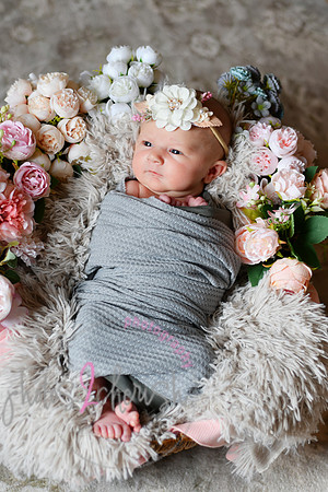 Amelia [newborn] images 025