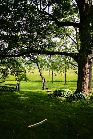 Carter & Marlah Wedding Photos [grounds] 037