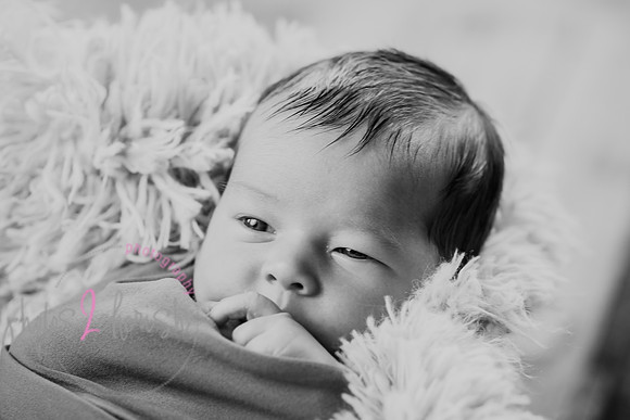 Anthony [newborn] 056