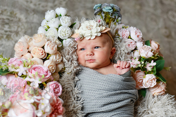 Amelia [newborn] images 045