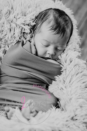 Anthony [newborn] 046