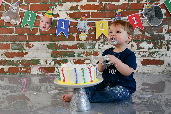 Logan 1st Birthday 235