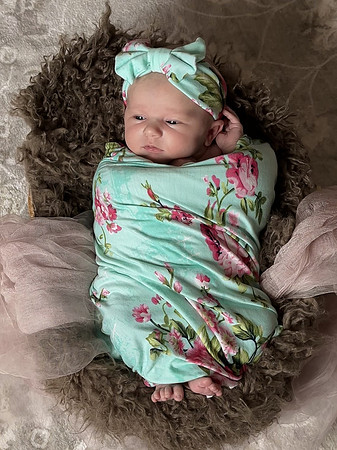 Amelia newborn images 109