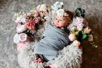 Amelia [newborn] images 011