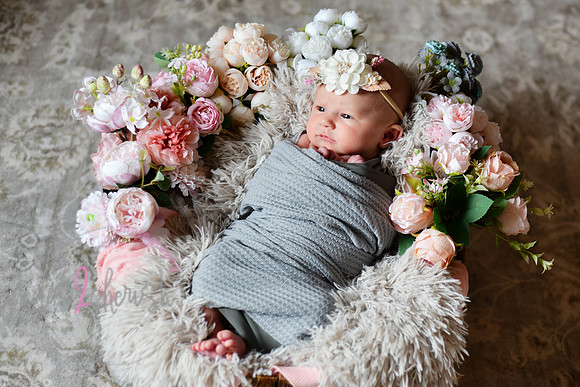 Amelia [newborn] images 011