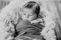 Anthony [newborn] 010