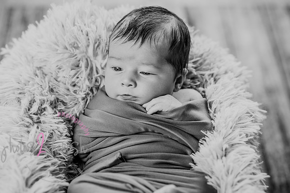 Anthony [newborn] 010