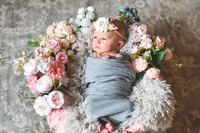 Amelia [newborn] images 004