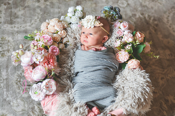 Amelia [newborn] images 004