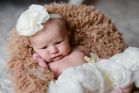 Amelia [newborn] images 051