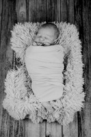 Noah Newborn 007