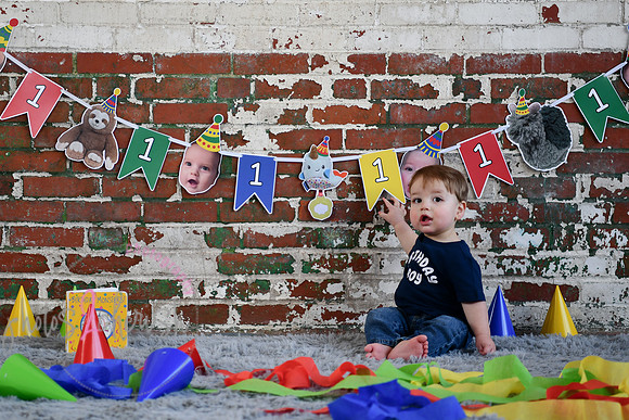 Logan 1st Birthday 083
