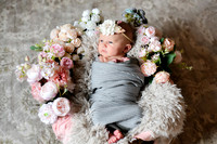 Amelia [newborn] images 001
