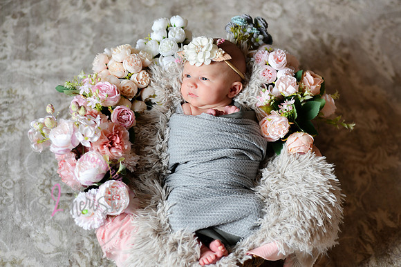Amelia [newborn] images 001