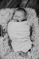 Noah Newborn 018