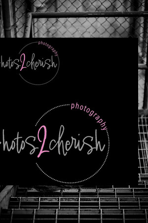 Damion [senior photos] 185