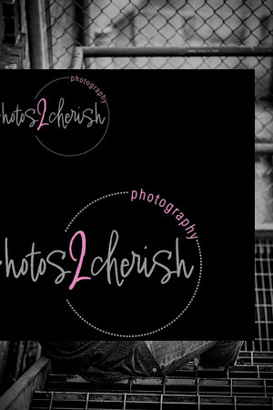 Damion [senior photos] 194