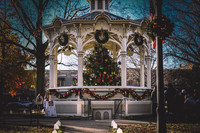 2023 Medina Tree [CLW] 02
