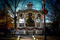 2023 Medina Tree [CLW] 04