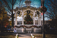 2023 Medina Tree [CLW] 03