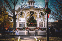 2023 Medina Tree [CLW] 01