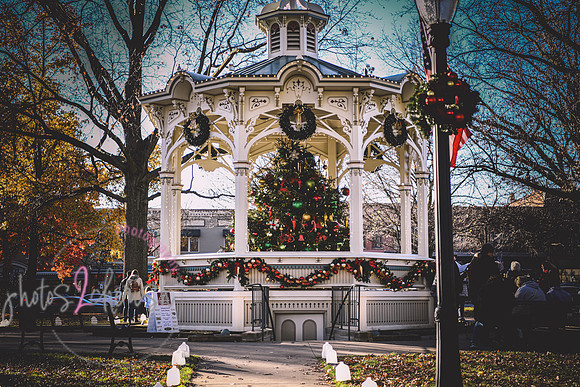 2023 Medina Tree [CLW] 01