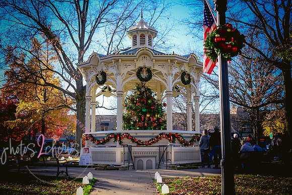 2023 Medina Tree [CLW] 08