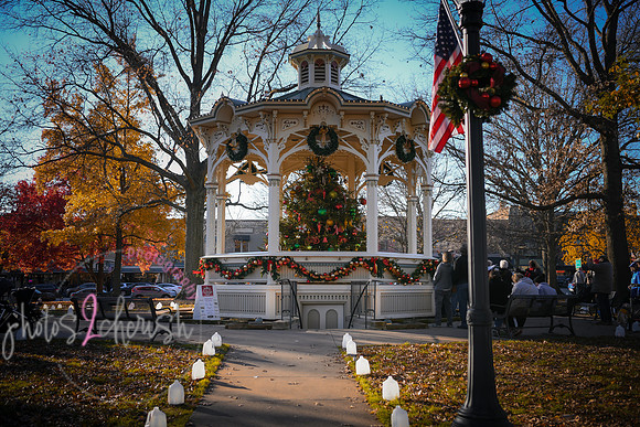 2023 Medina Tree [CLW] 06