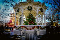 2023 Medina Tree [CLW] 09
