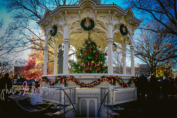 2023 Medina Tree [CLW] 09