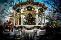 2023 Medina Tree [CLW] 10