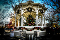 2023 Medina Tree [CLW] 11