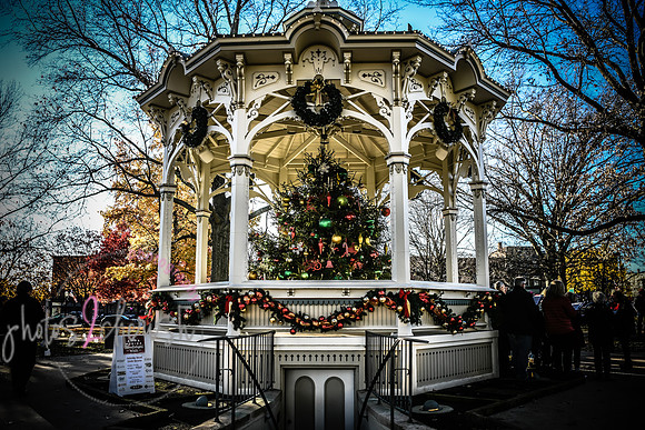 2023 Medina Tree [CLW] 11
