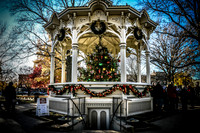 2023 Medina Tree [CLW] 12