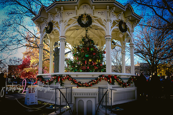 2023 Medina Tree [CLW] 13