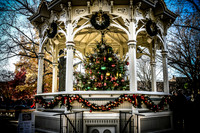 2023 Medina Tree [CLW] 15
