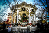 2023 Medina Tree [CLW] 16