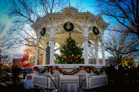 2023 Medina Tree [CLW] 17