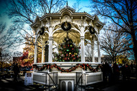 2023 Medina Tree [CLW] 18