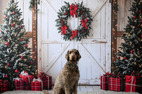 Sublett Family [Holiday 2024] 10