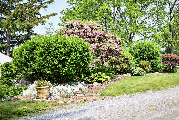 Carter & Marlah Wedding Photos [grounds] 021