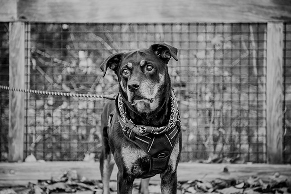 Deka 140