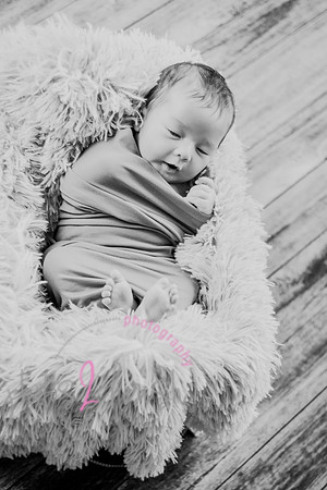 Anthony [newborn] 007