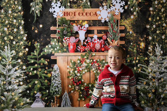 Holiday Mini  [Abel] 03