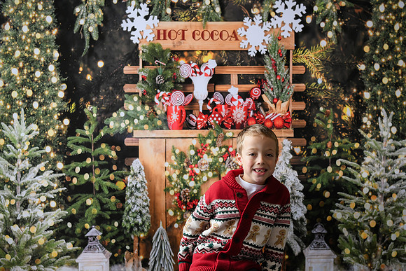 Holiday Mini  [Abel] 08