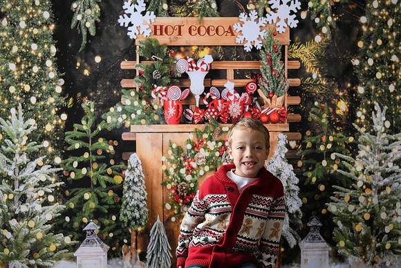 Holiday Mini  [Abel] 09